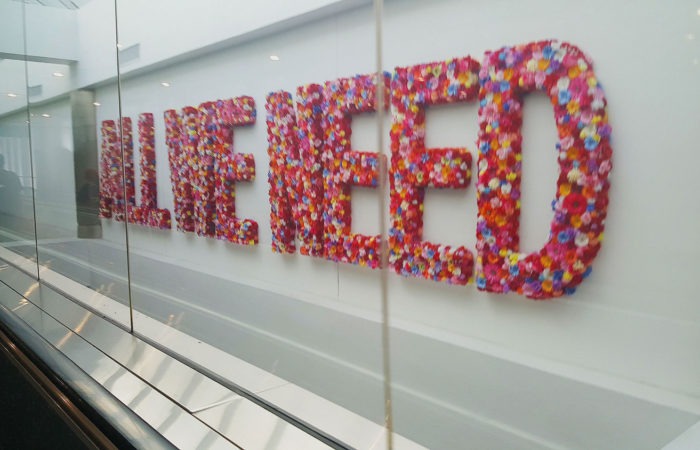'All We Need' spelled out in flowers